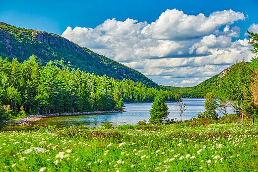 Top Animation & Motion Graphic Agencies in Maine