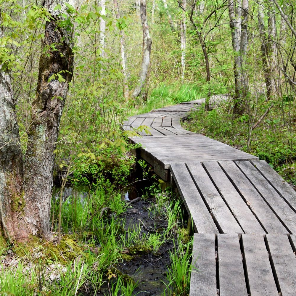 Top Brochure Design Agencies and Companies in Taunton, Massachusetts