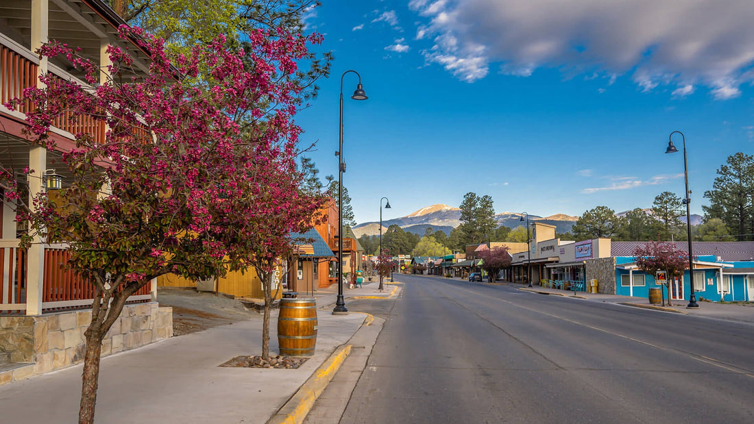 Top or Best Influencer Brand Partnership Agencies and Companies in New Mexico