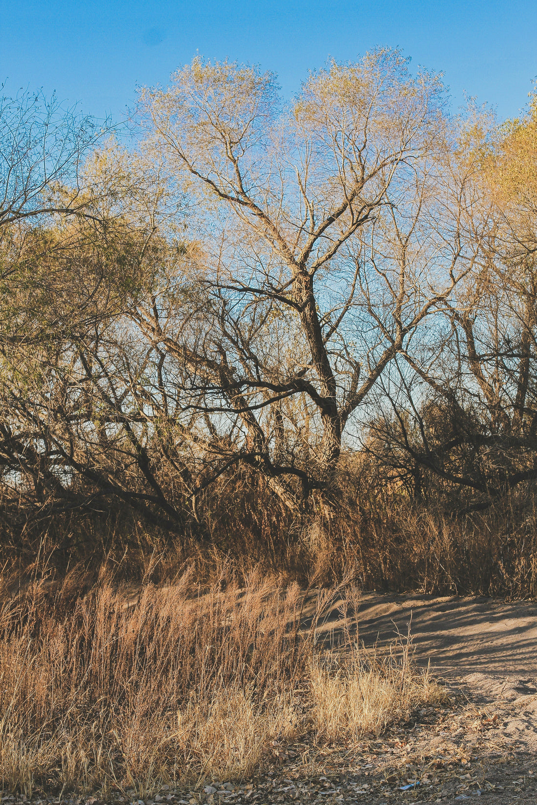 Top or Best Animation and Motion Graphics Agencies and Companies in Topeka, Kansas