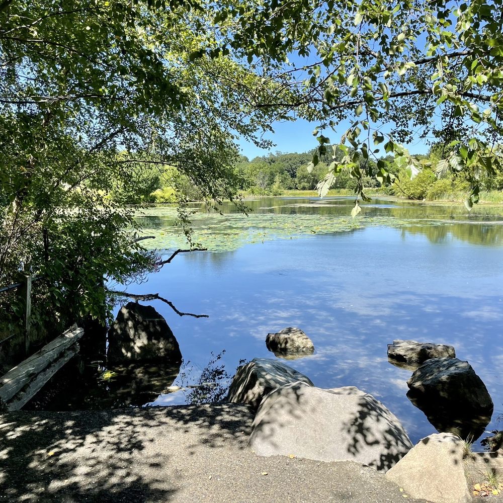 Top or Best Mural Design Agencies and Companies in Brookline, Massachusetts