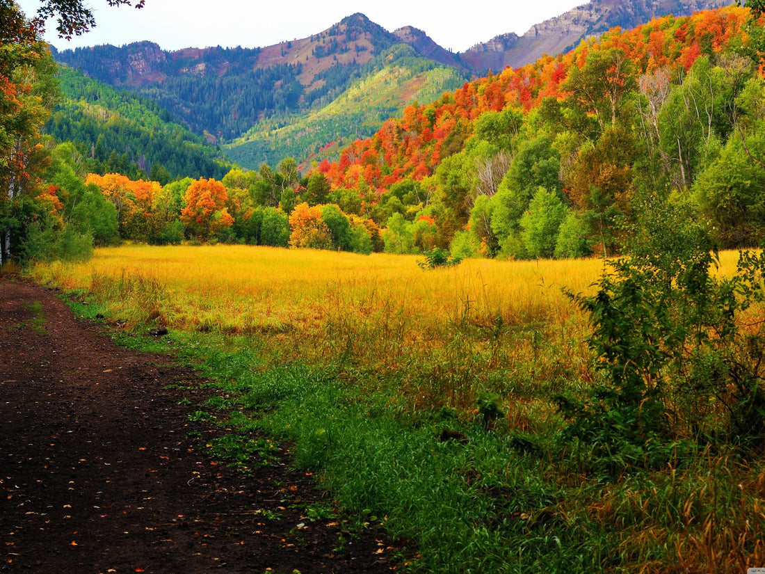 Top or Best X (Twitter) Management Agencies and Companies in Orem, Utah