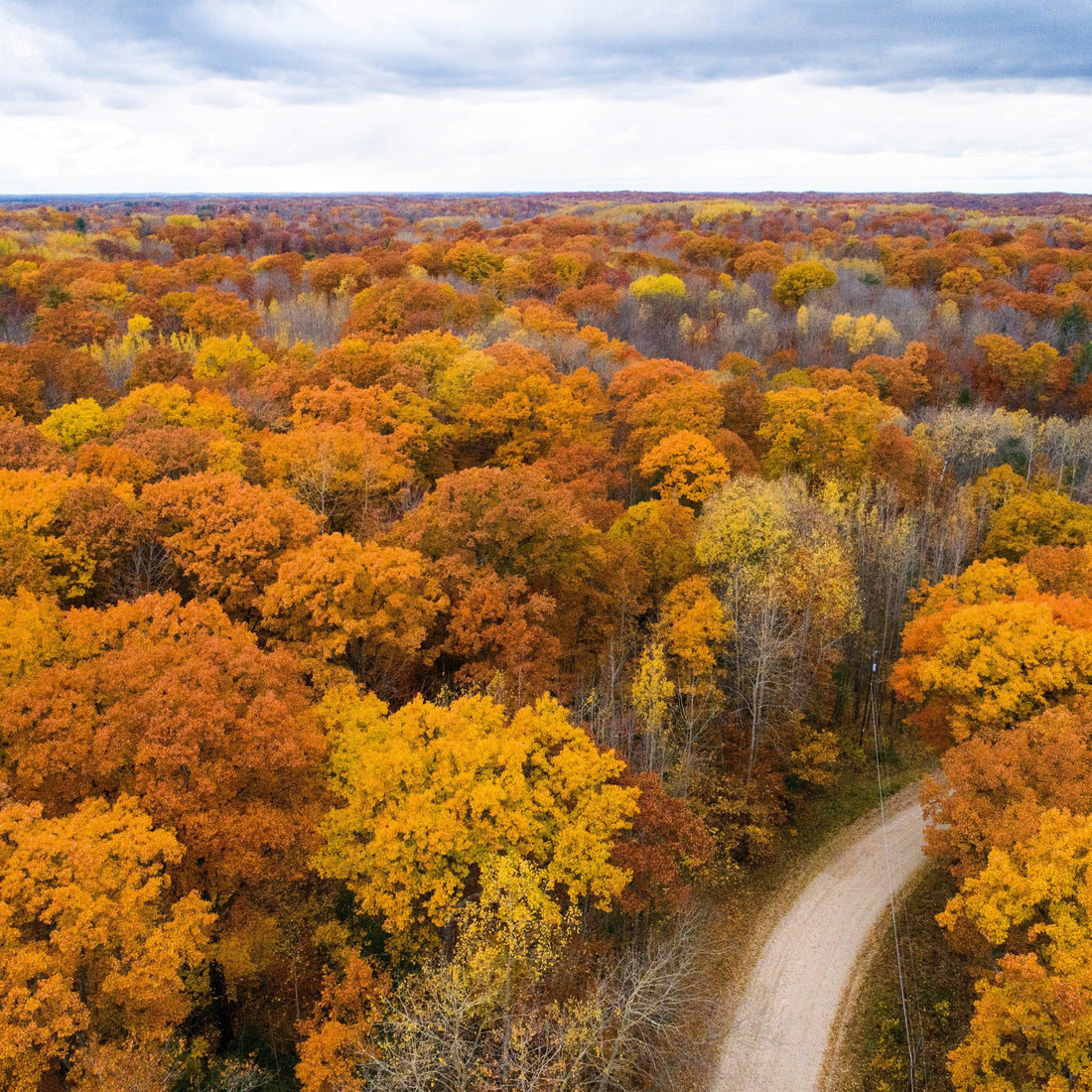 Top or Best TikTok Management Agencies and Companies in Lansing, Michigan