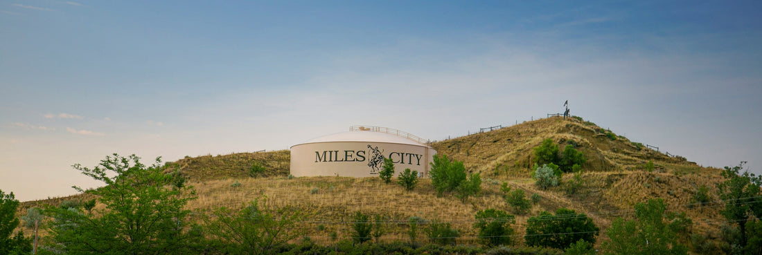 Top or Best Business Card Design Agencies and Companies in Miles City, Montana