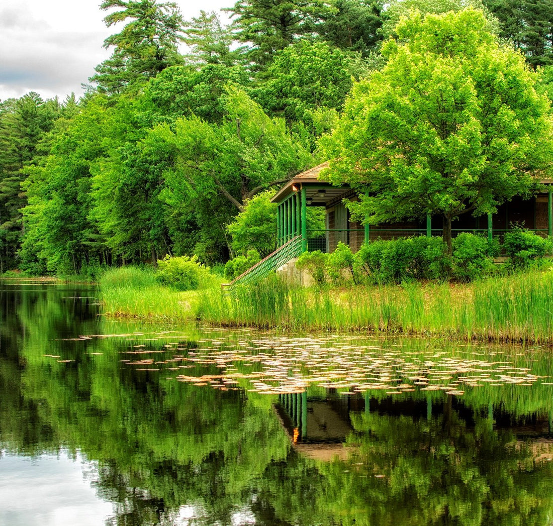 Top or Best AR Filters & Lenses Agencies and Companies in Manchester, New Hampshire