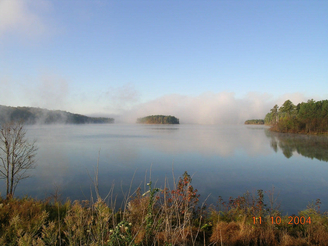 Top or Best Social Media Management Agencies and Companies in Wake Forest, North Carolina