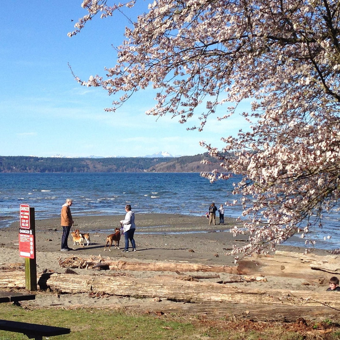 Top or Best Social Media Management Agencies and Companies in Federal Way, Washington