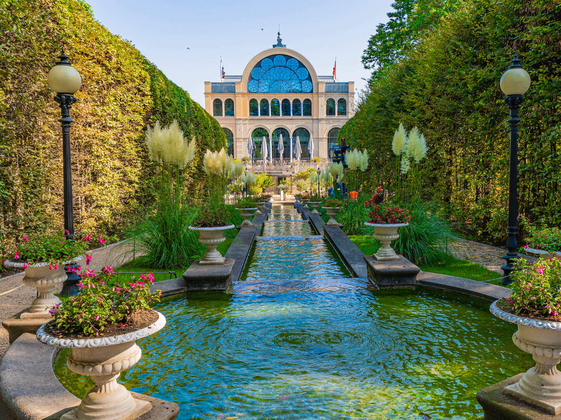 Top or Best Logo Animation Agency in Cologne, Germany