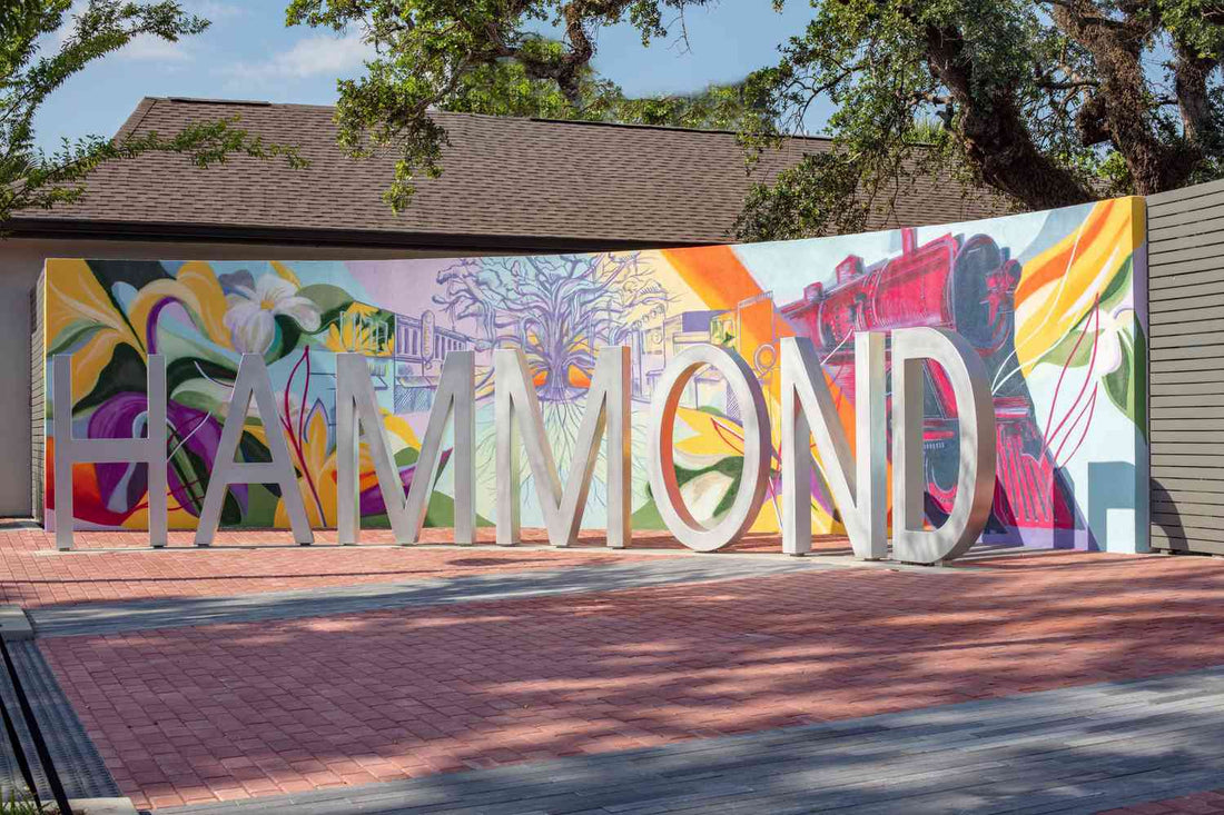 Top or Best Menu Design Agencies and Companies in Hammond, Louisiana