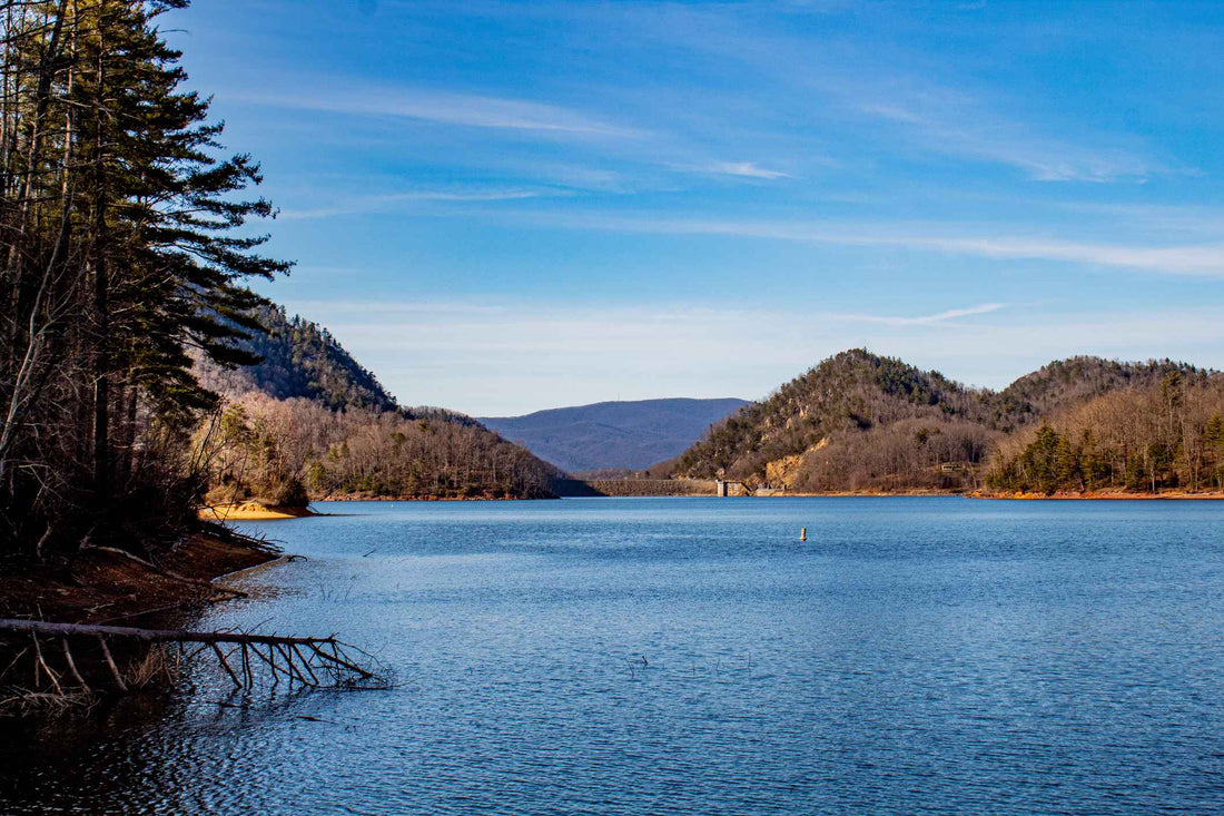 Top or Best Catalog Design Agencies and Companies in Johnson City, Tennessee