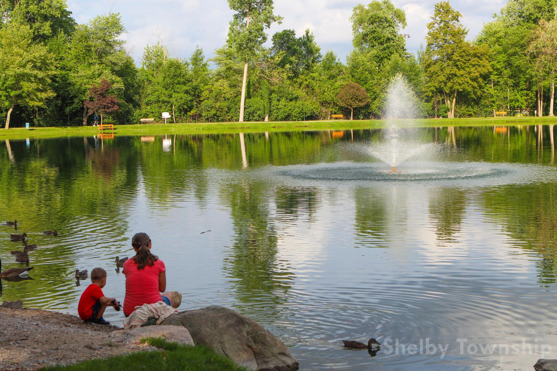 Top or Best LinkedIn Management Agencies and Companies in Shelby Charter Township, Michigan