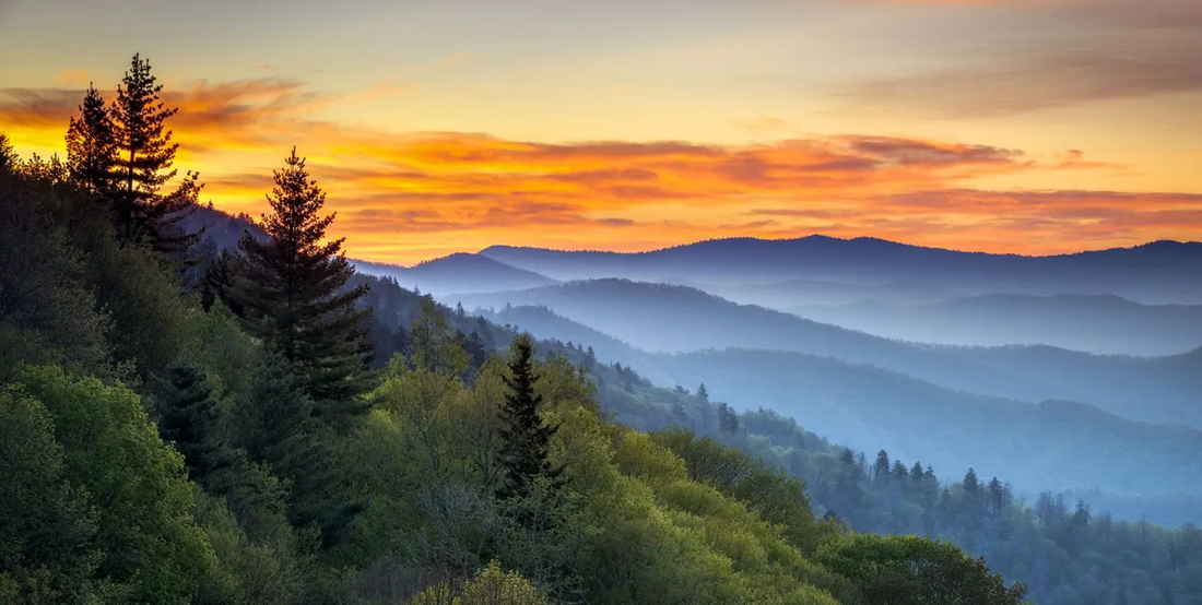 Top or Best Website Design Agencies and Companies in Jackson, Tennessee