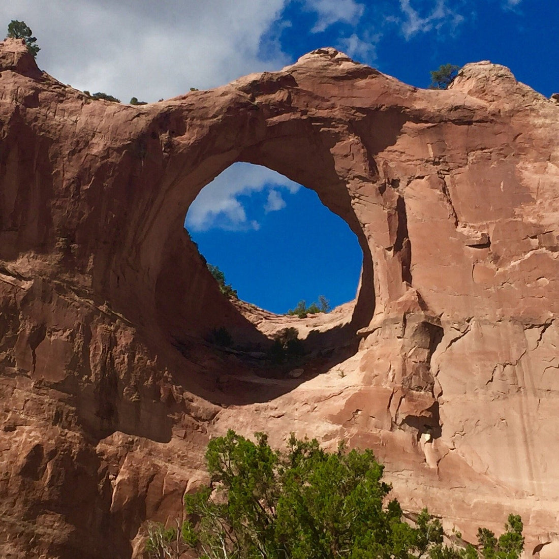 Top or Best Facebook Management Agencies and Companies in Gallup, New Mexico