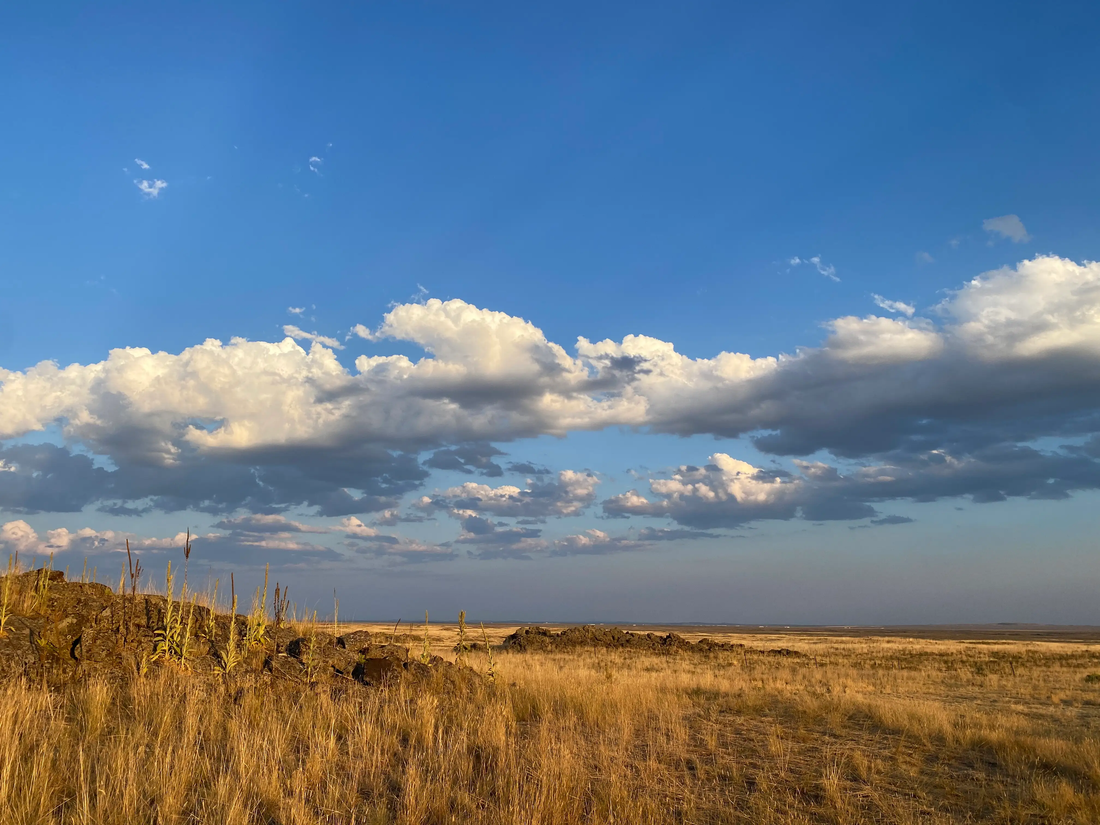 Top or Best Graphics for Streamers Agencies and Companies in Lewiston, Idaho