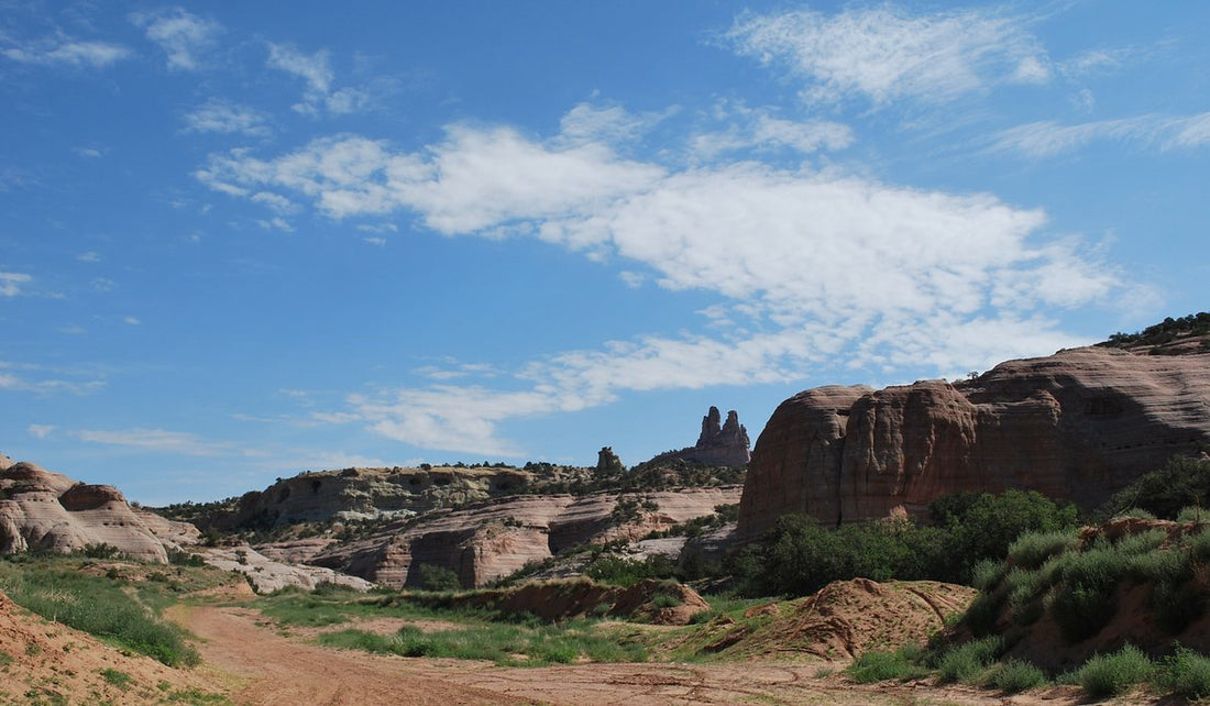 Top or Best Invitation Design Agencies and Companies in Gallup, New Mexico