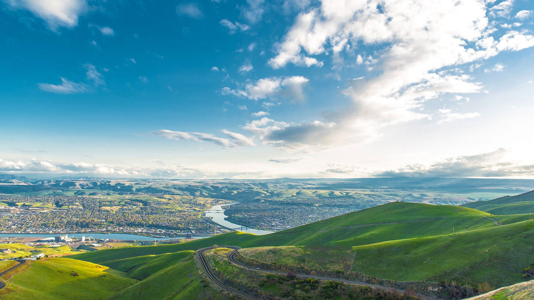 Top or Best Animation & Motion Graphics Agencies and Companies in Lewiston Idaho