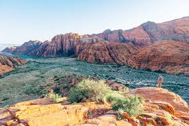 Top and Best Direct Mail Design Agencies and Companies in St. George, Utah