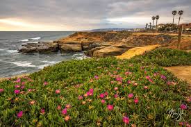 Top or Best Video Editing Agencies and Companies in Anaheim, California