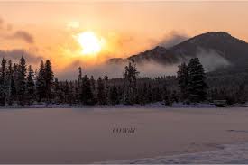 Top or Best Graphics for Streamers Agencies and Companies in Highlands Ranch, Colorado