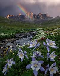 Top or Best Custom Graphics for Videos Agencies and Companies in Highlands Ranch, Colorado