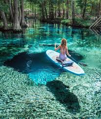 Top or Best Mural Design Agencies and Companies in Gainesville, Florida