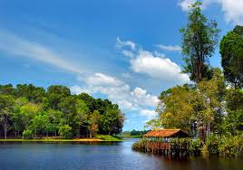 Top Postcard Design Agencies in Brunei