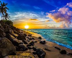 Top or Best Mural Design Agencies and Companies in Urban Honolulu, Hawaii