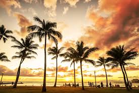 Top or Best Banner Ad Agencies and Companies in Urban Honolulu, Hawaii
