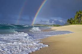 Top or Best AR Filters and Lens Agencies and Companies in Urban Honolulu, Hawaii