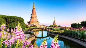 Top Social Media Design Agencies in Thailand