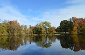 Top or Best Virtual Background Design Agencies and Companies in Haverford, Pennsylvania