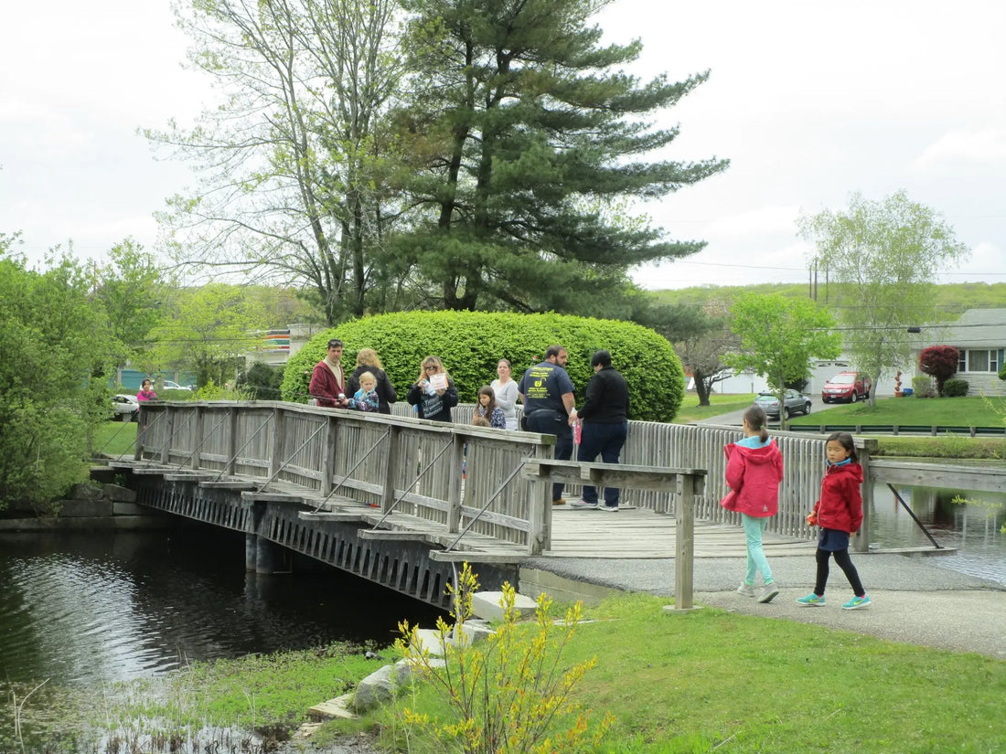 Top or Best Banner Ad Agencies and Companies in Johnston, Rhode Island