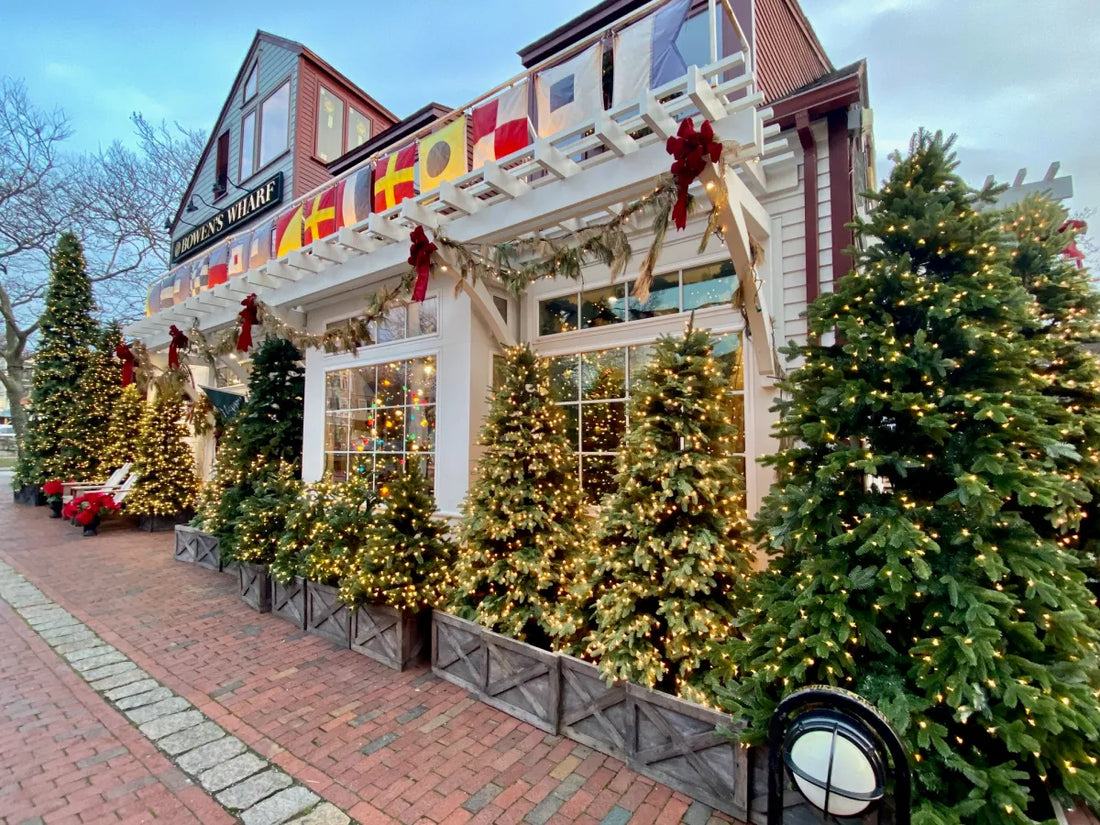 Top or Best Animation & Motion Graphics Agencies and Companies in Newport, Rhode Island