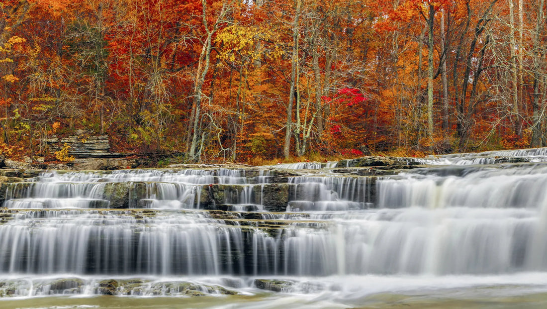 Top Social Media Management Companies in Indiana