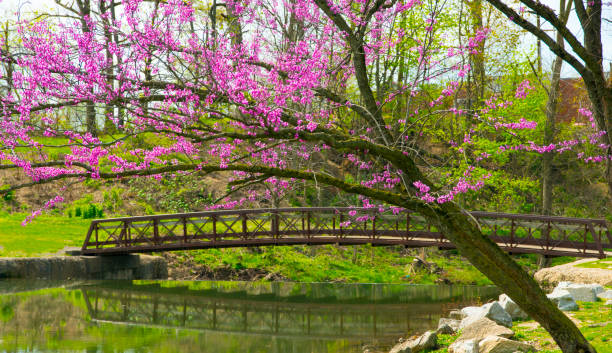 Top or Best Brand Identity Package Agencies and Companies in Kokomo, Indiana