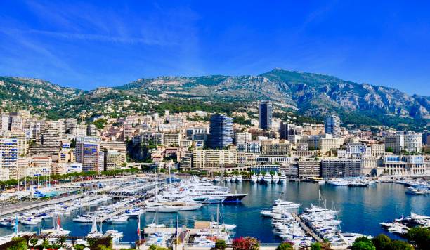 Best Facebook Management Companies in Monaco
