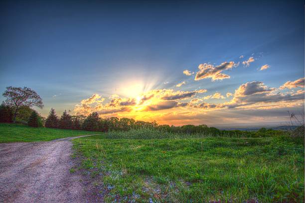 Top or Best Email Campaign Design Agencies and Companies in West Haven, Connecticut