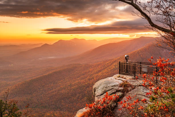 Top or Best Social Media Design Agencies and Companies in Greenville, South Carolina