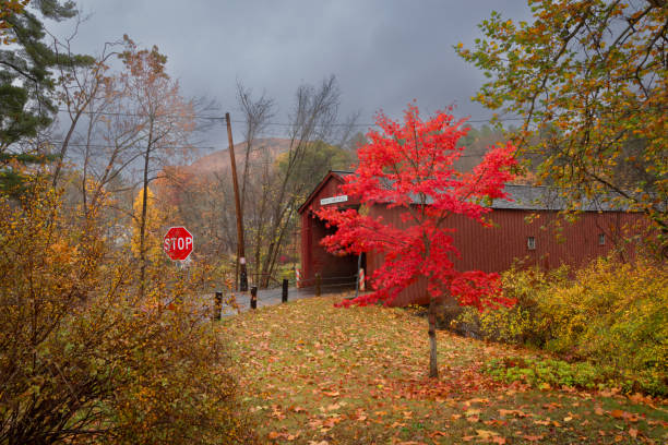 Top or Best Tattoo Design Agencies and Companies in West Haven, Connecticut