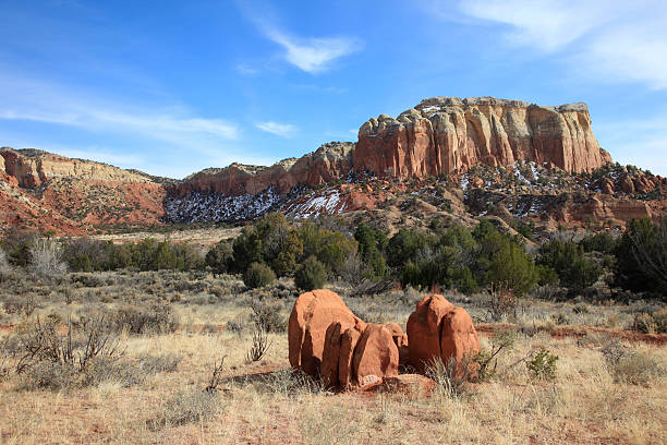 Top Brochure Design Agencies in New Mexico