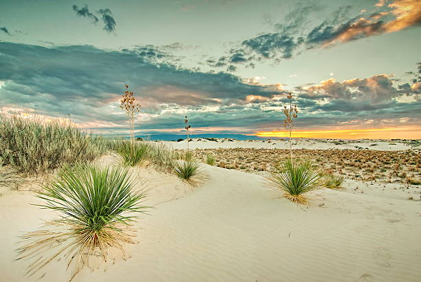 Top Catalog Design Agencies in New Mexico