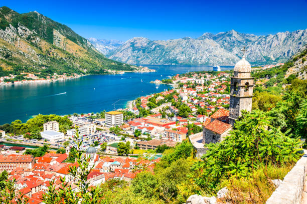 Best Facebook Management Companies in Montenegro