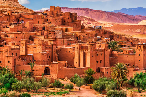Best Facebook Management Companies in Morocco