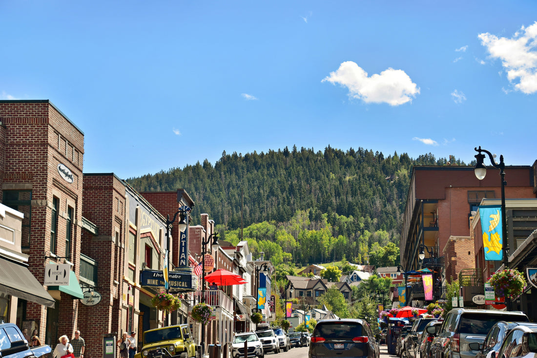 Top or Best Portrait and Caricature Agencies and Companies in Miles City, Montana