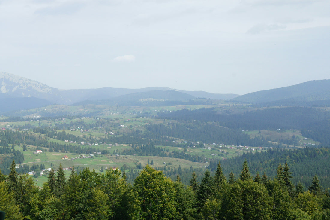 Top and Best X (Twitter) Management Agencies and Companies in Eugene, Oregon