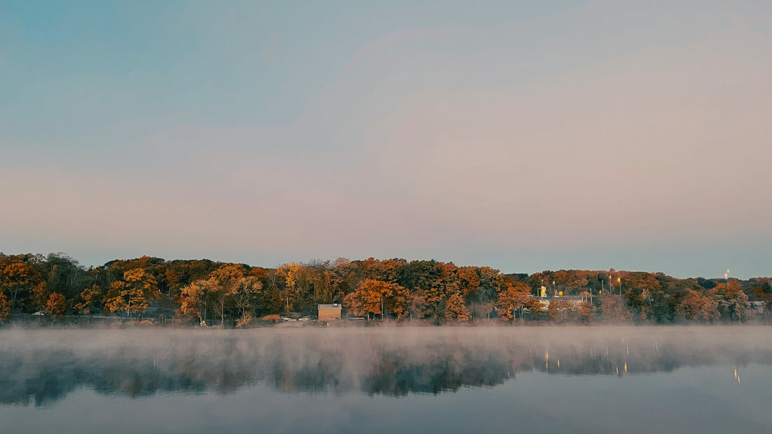 Top or Best Social Media Management Agencies and Companies in Lansing, Michigan
