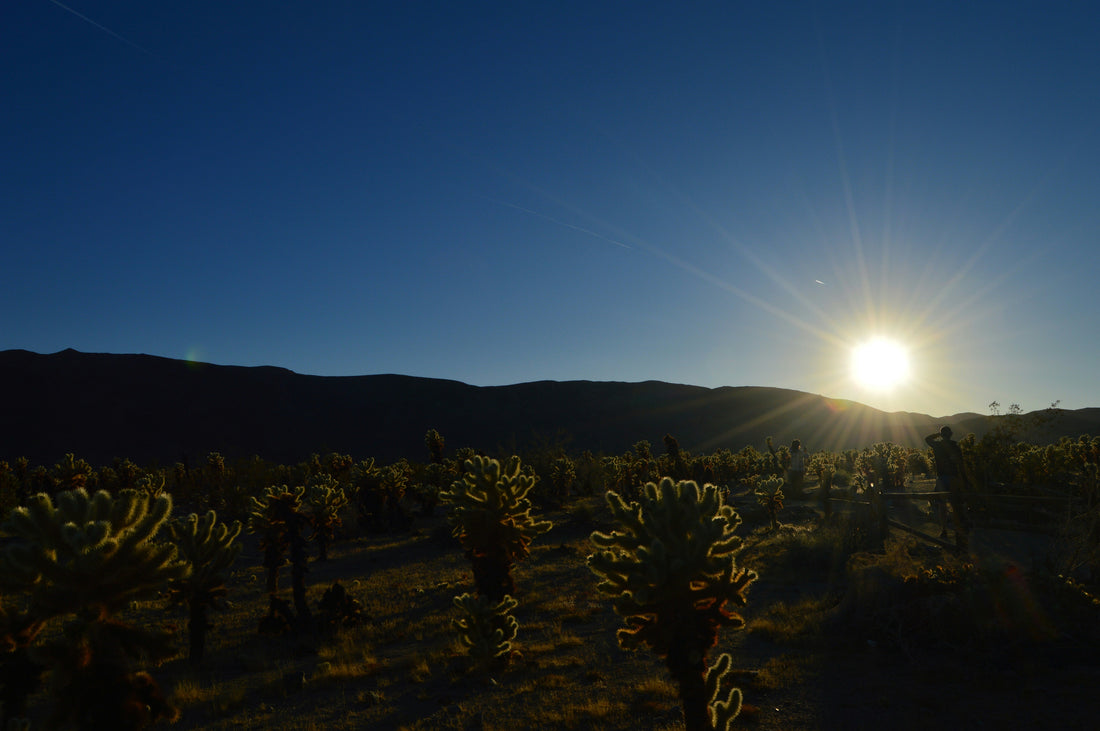 Top and Best Graphic Design Agencies and Companies in Sunrise Manor, Nevada