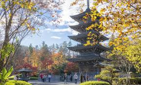 Top or Best Influencer Outreach & Coordination Agencies and Companies in Sendai, Japan