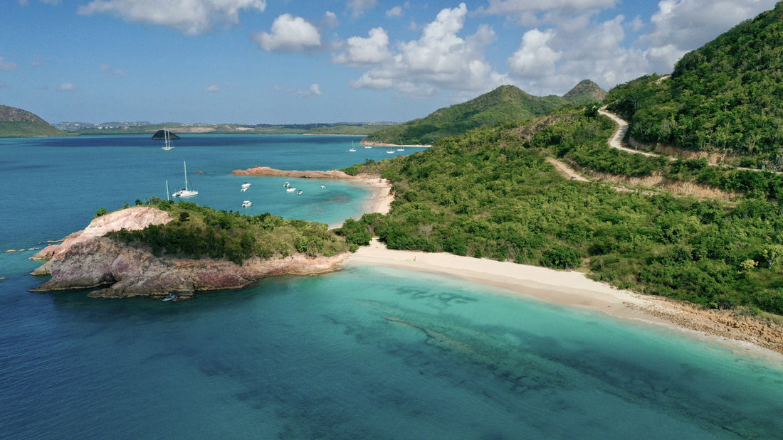 Top or Best Talent Management Agencies and Companies in Antigua and Barbuda