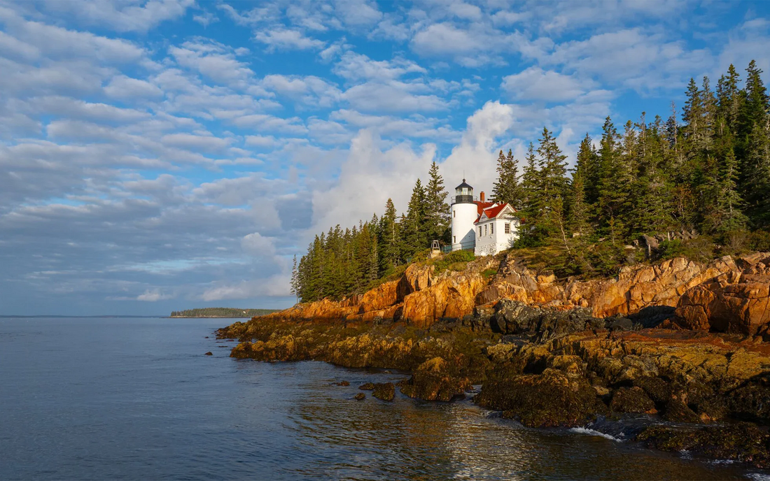Best Cartoons & Comics Agencies in	Maine